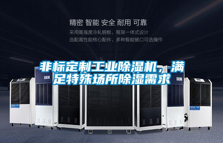 非標定制工業(yè)除濕機，滿足特殊場所除濕需求