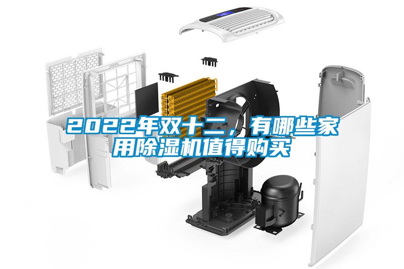 2022年雙十二，有哪些家用除濕機值得購買