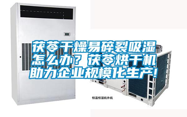 茯苓干燥易碎裂吸濕怎么辦？茯苓烘干機(jī)助力企業(yè)規(guī)模化生產(chǎn)!