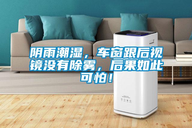 陰雨潮濕，車窗跟后視鏡沒有除霧，后果如此可怕！