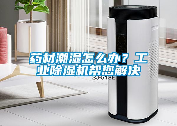 藥材潮濕怎么辦？工業(yè)除濕機(jī)幫您解決