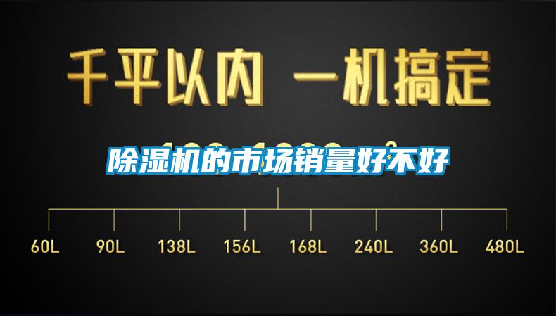 除濕機(jī)的市場銷量好不好