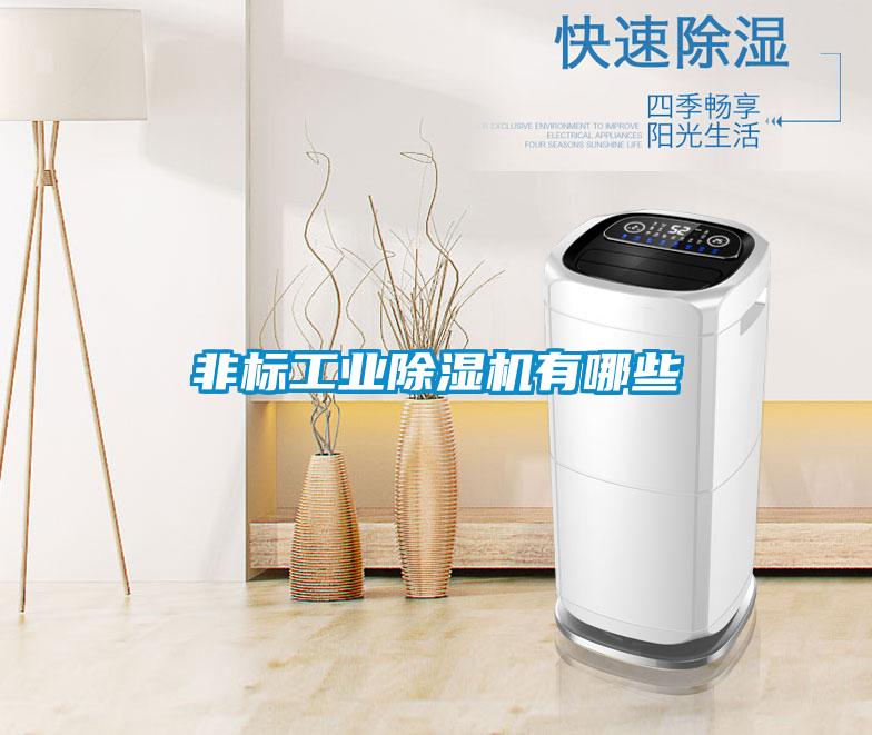 非標工業除濕機有哪些