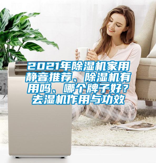 2021年除濕機家用靜音推薦、除濕機有用嗎、哪個牌子好？去濕機作用與功效