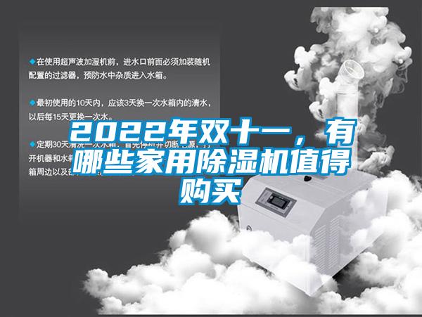 2022年雙十一，有哪些家用除濕機值得購買