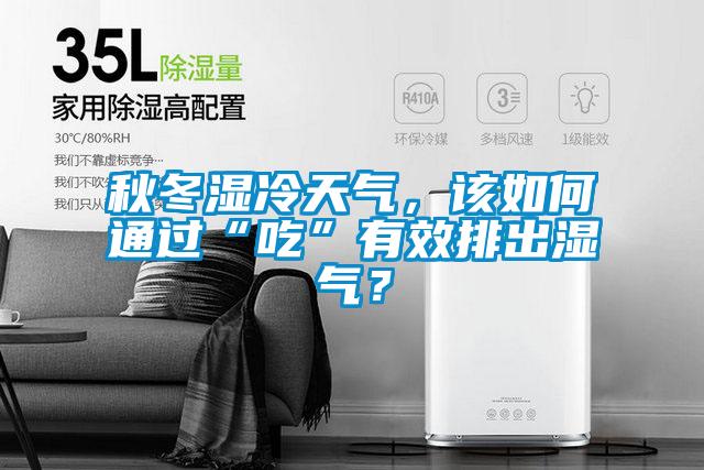 秋冬濕冷天氣，該如何通過“吃”有效排出濕氣？