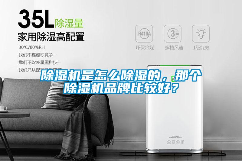 除濕機(jī)是怎么除濕的，那個除濕機(jī)品牌比較好？