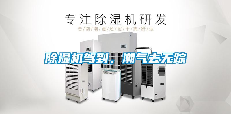 除濕機(jī)駕到，潮氣去無(wú)蹤
