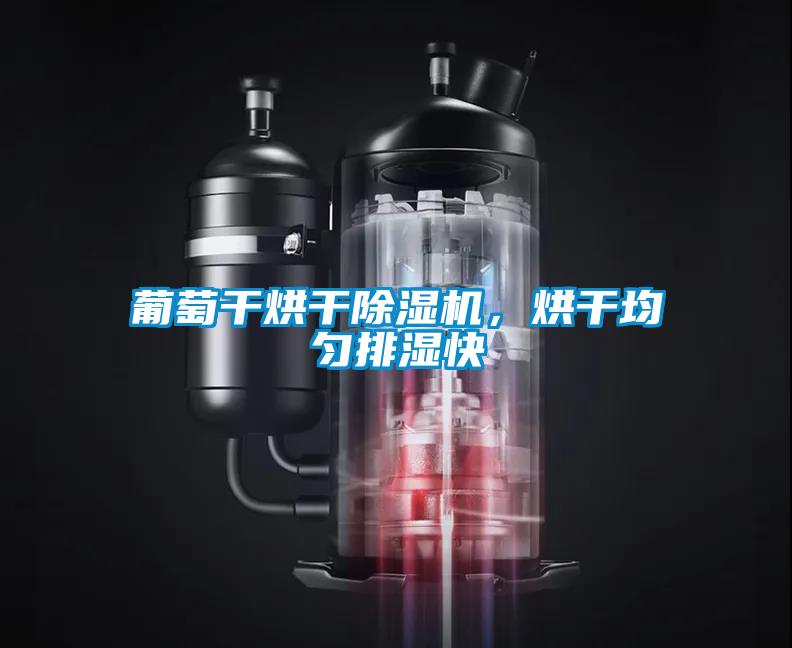葡萄干烘干除濕機(jī)，烘干均勻排濕快
