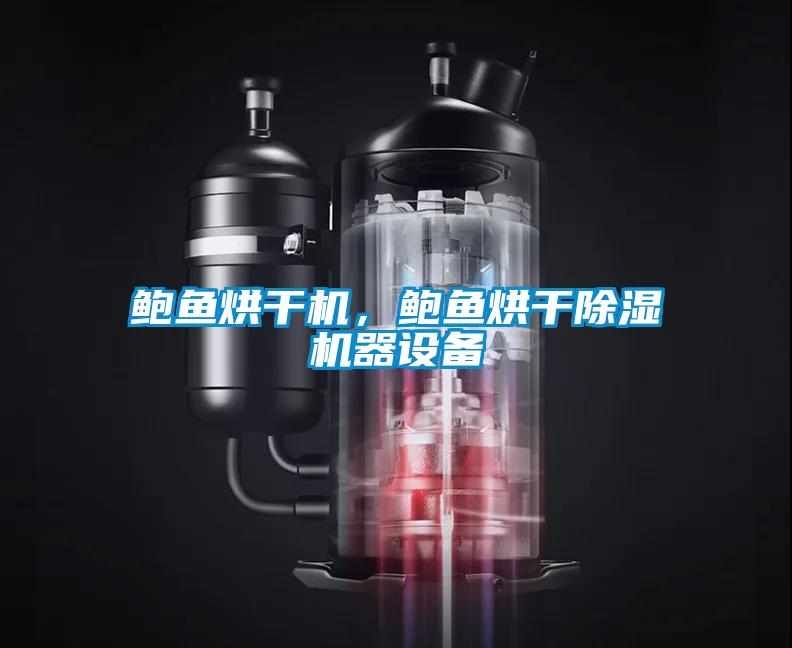 鮑魚烘干機(jī)，鮑魚烘干除濕機(jī)器設(shè)備