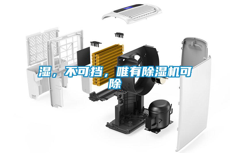濕，不可擋，唯有除濕機可除