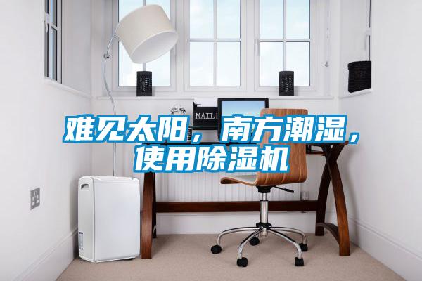 難見太陽，南方潮濕，使用除濕機