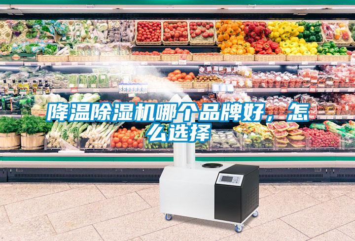 降溫除濕機哪個品牌好，怎么選擇
