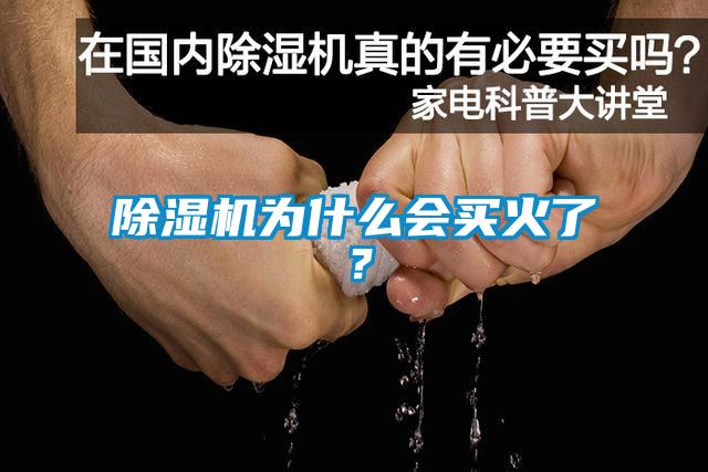除濕機為什么會買火了？