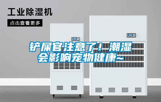 鏟屎官注意了！潮濕會(huì)影響寵物健康~