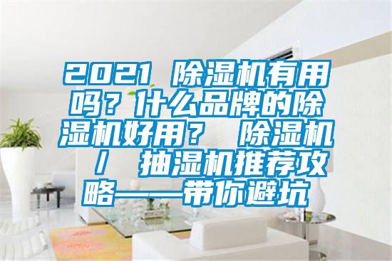 2021 除濕機有用嗎？什么品牌的除濕機好用？ 除濕機 ／ 抽濕機推薦攻略——帶你避坑