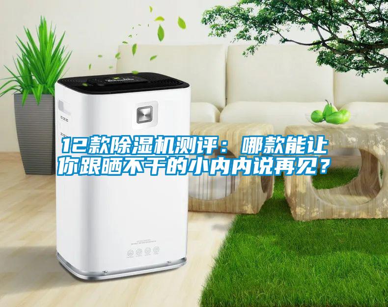 12款除濕機(jī)測(cè)評(píng)：哪款能讓你跟曬不干的小內(nèi)內(nèi)說(shuō)再見？