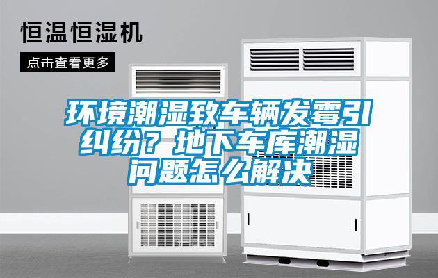 環(huán)境潮濕致車輛發(fā)霉引糾紛？地下車庫潮濕問題怎么解決