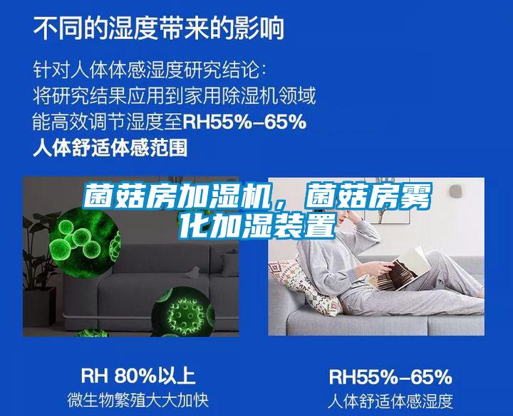 菌菇房加濕機(jī)，菌菇房霧化加濕裝置