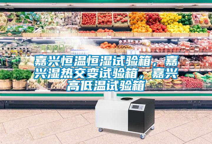 嘉興恒溫恒濕試驗箱，嘉興濕熱交變試驗箱，嘉興高低溫試驗箱