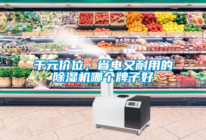 千元價位，省電又耐用的除濕機哪個牌子好