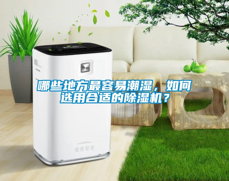 哪些地方最容易潮濕，如何選用合適的除濕機(jī)？