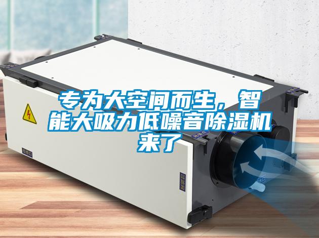 專為大空間而生，智能大吸力低噪音除濕機(jī)來(lái)了