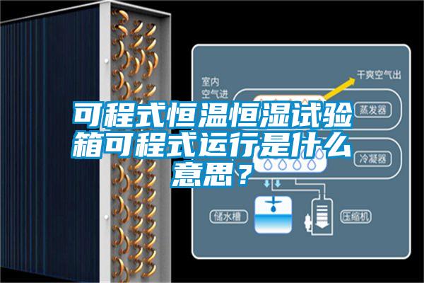可程式恒溫恒濕試驗箱可程式運行是什么意思？