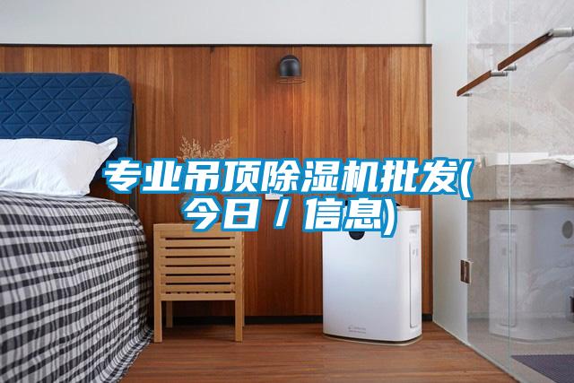 專(zhuān)業(yè)吊頂除濕機(jī)批發(fā)(今日／信息)