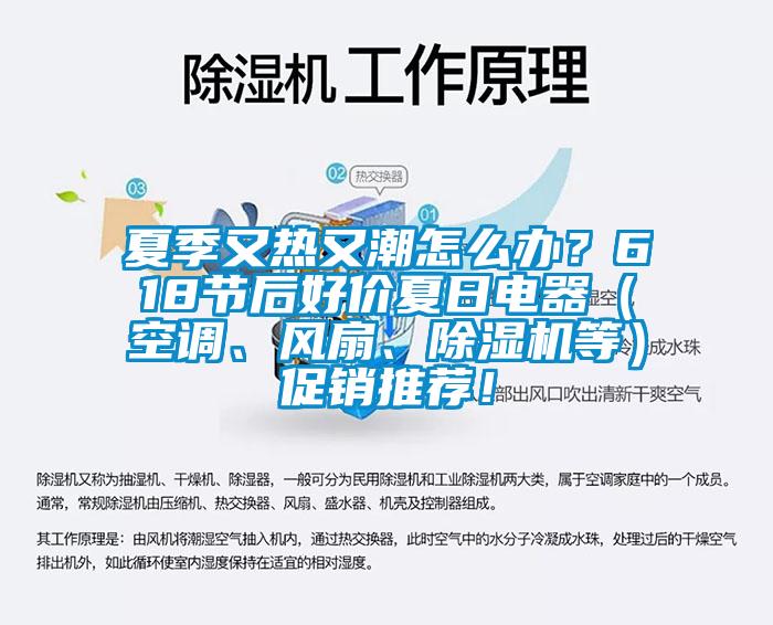 夏季又熱又潮怎么辦？618節后好價夏日電器（空調、風扇、除濕機等）促銷推薦！