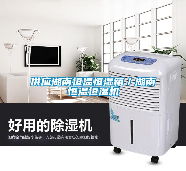 供應(yīng)湖南恒溫恒濕箱／湖南恒溫恒濕機