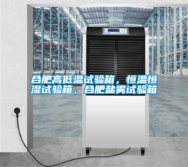 合肥高低溫試驗(yàn)箱，恒溫恒濕試驗(yàn)箱，合肥鹽霧試驗(yàn)箱