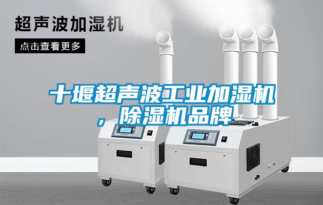 十堰超聲波工業加濕機，除濕機品牌