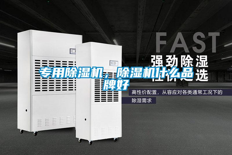 專用除濕機(jī)，除濕機(jī)什么品牌好