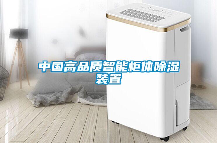 中國(guó)高品質(zhì)智能柜體除濕裝置