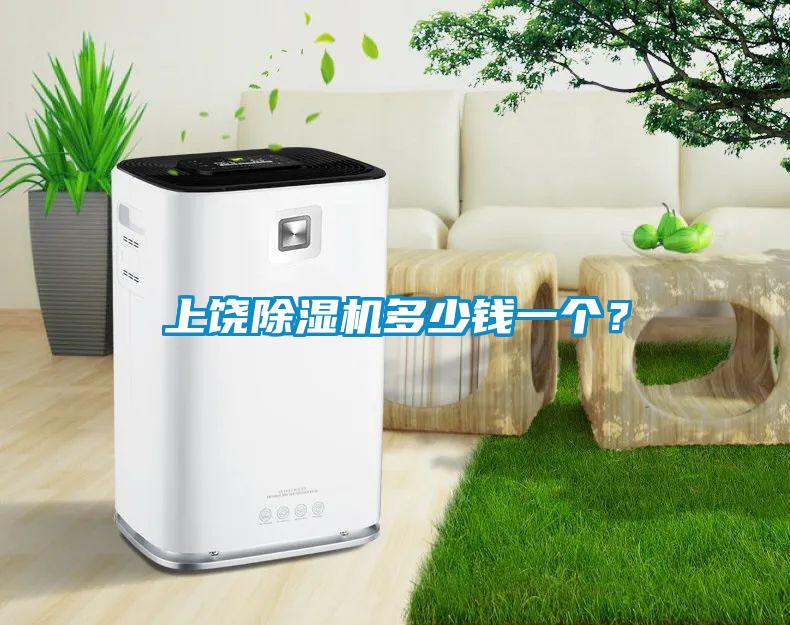 上饒除濕機(jī)多少錢一個(gè)？