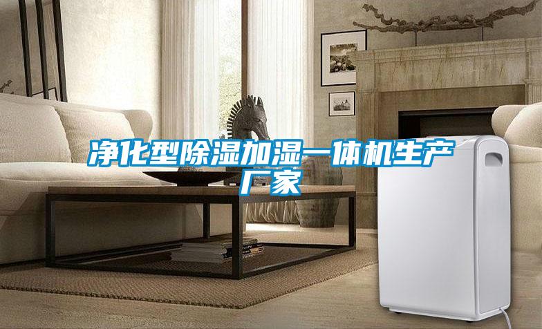 凈化型除濕加濕一體機生產廠家