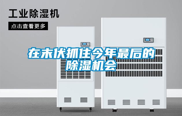 在末伏抓住今年最后的除濕機會