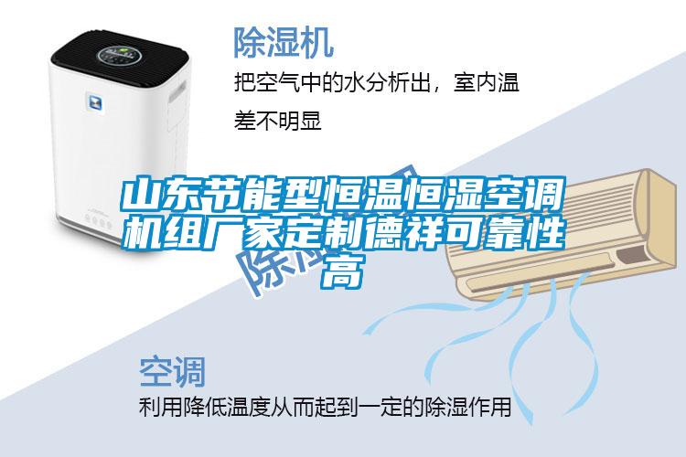 山東節(jié)能型恒溫恒濕空調(diào)機(jī)組廠家定制德祥可靠性高