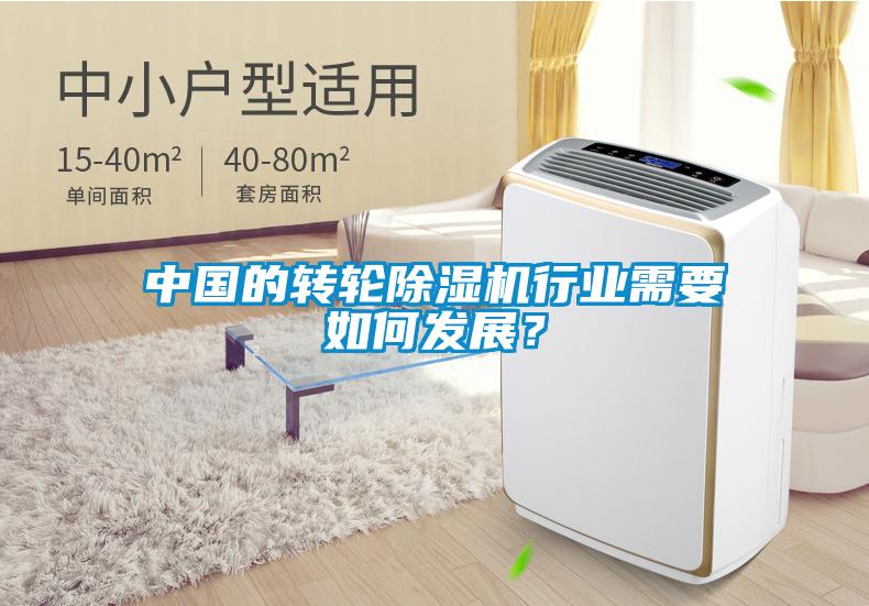 中國的轉輪除濕機行業需要如何發展？