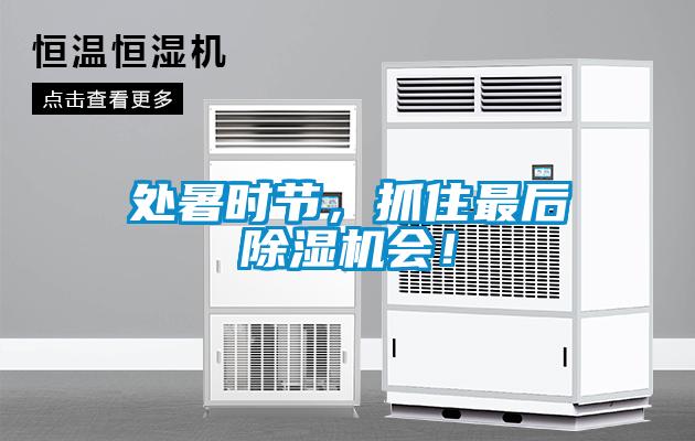 處暑時(shí)節(jié)，抓住最后除濕機(jī)會(huì)！