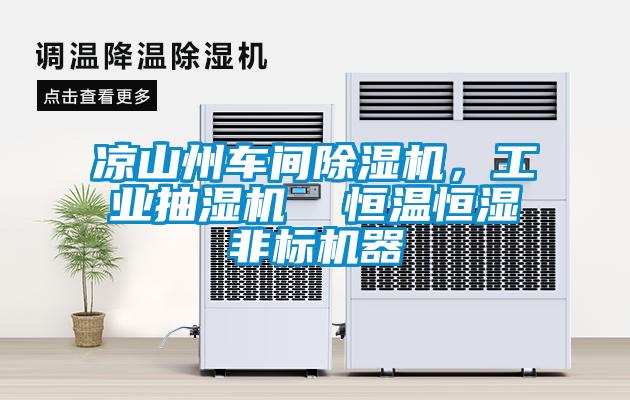 涼山州車間除濕機，工業(yè)抽濕機  恒溫恒濕非標機器
