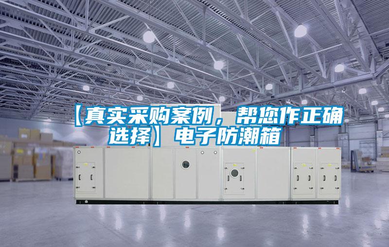 【真實(shí)采購(gòu)案例，幫您作正確選擇】電子防潮箱