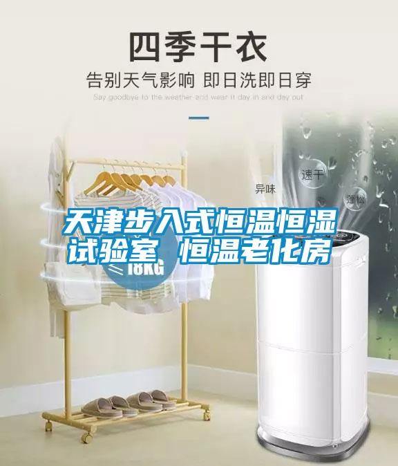 天津步入式恒溫恒濕試驗(yàn)室 恒溫老化房
