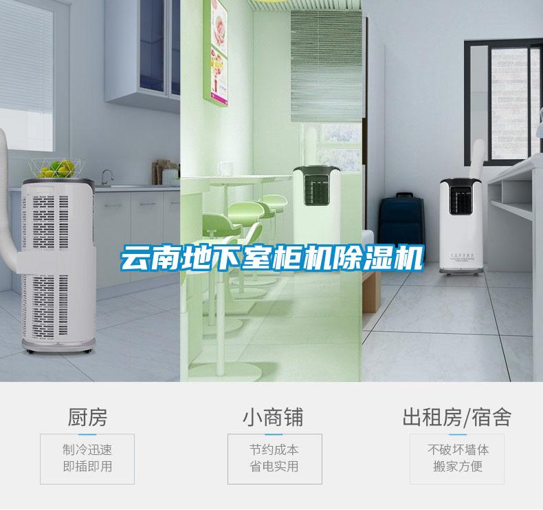 云南地下室柜機除濕機