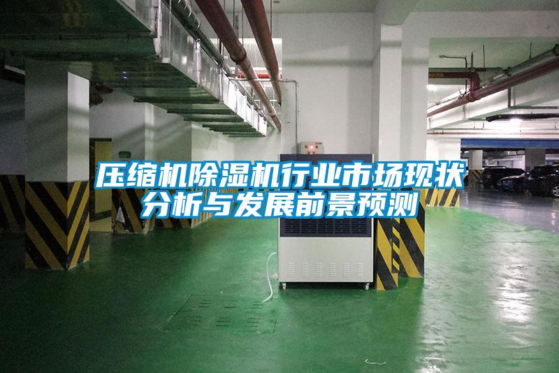 壓縮機除濕機行業(yè)市場現(xiàn)狀分析與發(fā)展前景預測