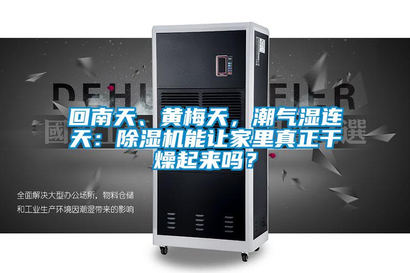 回南天、黃梅天，潮氣濕連天：除濕機能讓家里真正干燥起來嗎？