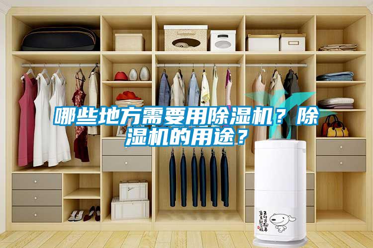 哪些地方需要用除濕機？除濕機的用途？
