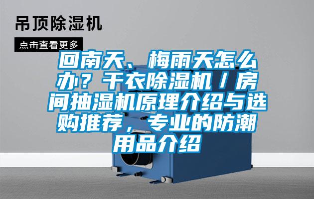 回南天、梅雨天怎么辦？干衣除濕機(jī)／房間抽濕機(jī)原理介紹與選購(gòu)?fù)扑]，專業(yè)的防潮用品介紹
