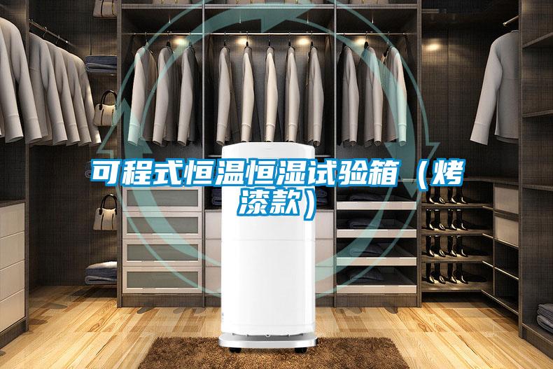 可程式恒溫恒濕試驗箱（烤漆款）
